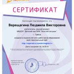 sertifikat_vereshagina